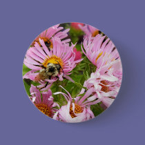 New England Aster buttons