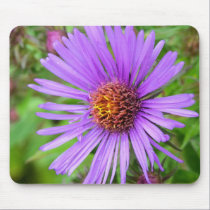 New England Aster mousepads