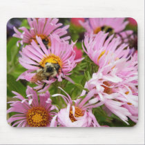 New England Aster mousepads