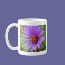 New England Aster mugs