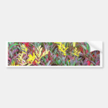 New England Autumn 058 Bumper Stickers