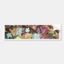 New England Autumn 069 Bumper Sticker