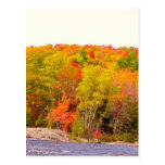 New England Autumn 118 Postcards
