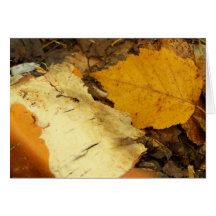 New England Autumn 51 Card