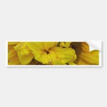 New England Autumn Bumper Stickers