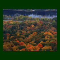 New England Autumn Foliage By River Poster posters