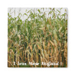New England Cornfield- Magnet magnets