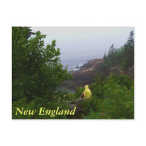 New England Dreamer Postcard
