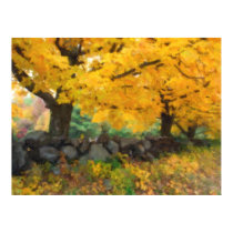 New England Fall Foliage posters