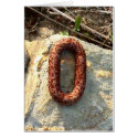 New England Farm Collection cards