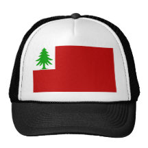 New England Flag Trucker Hats