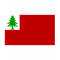 New England Flag t-shirts