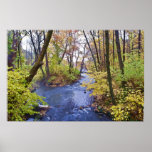 New England Stream Poster