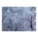 New England Winter Poster posters