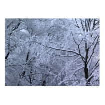 New England Winter Poster posters