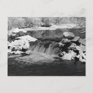 New England Winter Stream- Postcard postcard