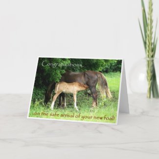 New Foal Congratulations Card card