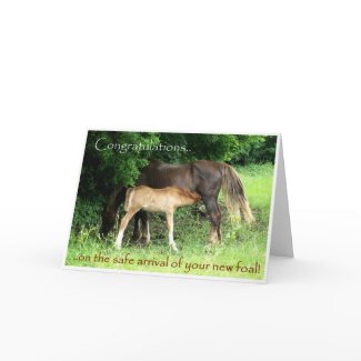 New Foal Congratulations Card card