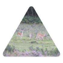New Forest deer Triangle Stickers