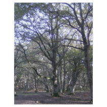 New Forest near Linford letterhead