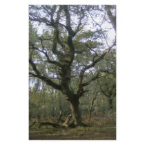 New Forest tree stationery