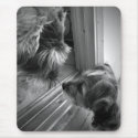 New Friends mousepads
