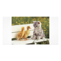 New Friends photo cards by oddbob New Friends photo cards