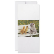New Friends Rack Card Template
