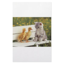 New Friends stationery by oddbob New Friends stationery