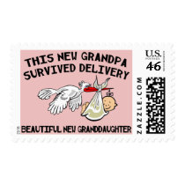 New Granddaughter - New Grandpa Gift postage
