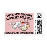 New Granddaughter - New Grandpa Gift postage