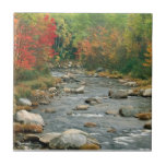 New Hampshire Fall tiles