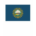 New Hampshire Flag T-shirt