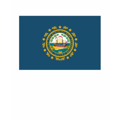 New Hampshire Flag T-shirt by FlagTshirts