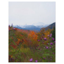 New Hampshire letterhead