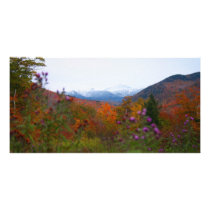 New Hampshire photo cards