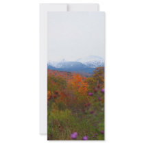 New Hampshire rack cards