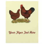 New Hampshire Reds flyers