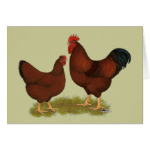 New Hampshire Reds Greeting Card