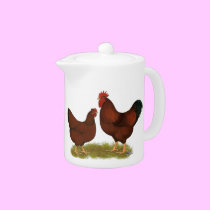 New Hampshire Reds teapots