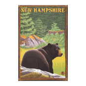 New HampshireBlack Bear in Forest wrappedcanvas