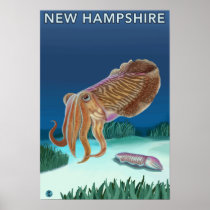 New HampshireCuttlefish Scene Posters