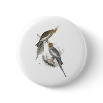 New Holland Parrakeet by Edward Lear Pin
