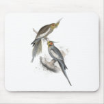 New Holland Parrakeet by Edward Lear Mousepads