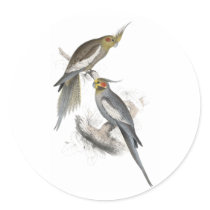 New Holland Parrakeet by Edward Lear Sticker