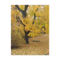 New Hope Yellow postcards by ccastropelka New Hope Yellow postcards