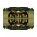 New Image t-shirts by amberlmiller5 New Image t-shirts