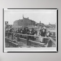 New Immigrants Landing at Ellis Island New York Posters