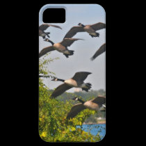 NEW iphone5 Canadian Geese cover casemate cases