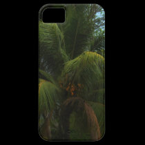 NEW iphone5  Coconut Palm  Cover casemate cases